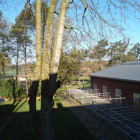 Ferienwohnung Friesenstall Heede Buitenkant foto
