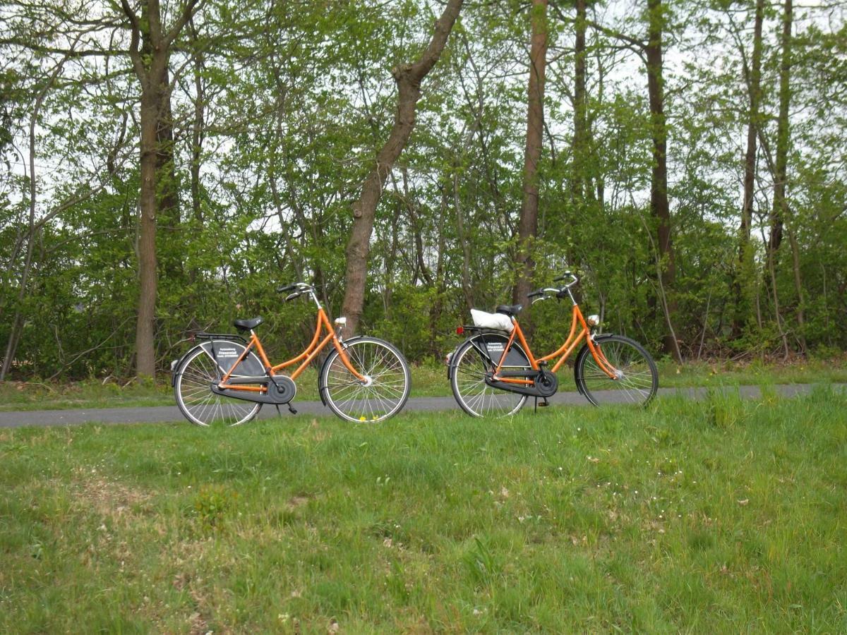 Ferienwohnung Friesenstall Heede Buitenkant foto